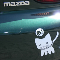 Avatar de Usuario