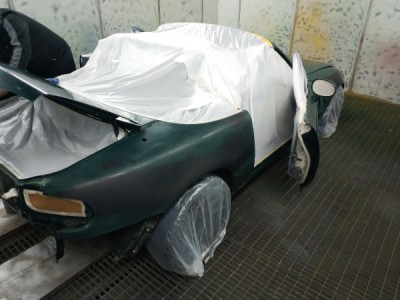 pintado.jpg