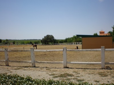 P1010928.jpg