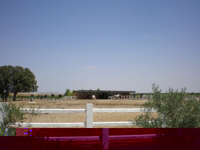 P1010945.jpg