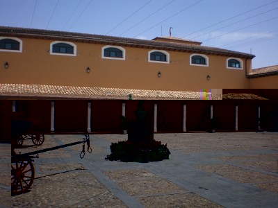 P1010950.jpg