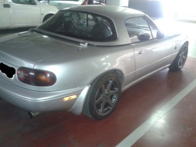 pasion5.jpg