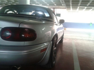 pasion8.jpg