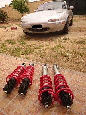 pasion013.jpg