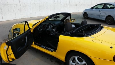 yellow 1.jpg