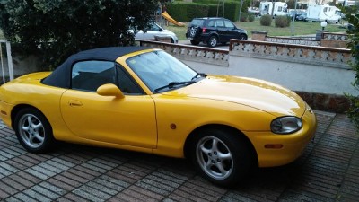 yellow 2.jpg