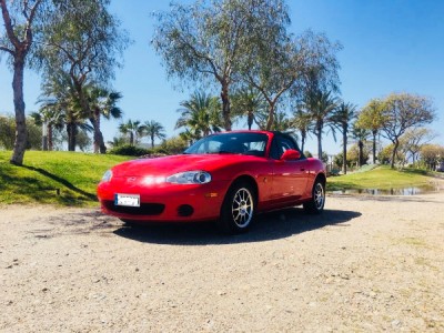 2mx5.jpg